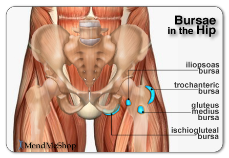 Common bursae in the hip joint and hip area.